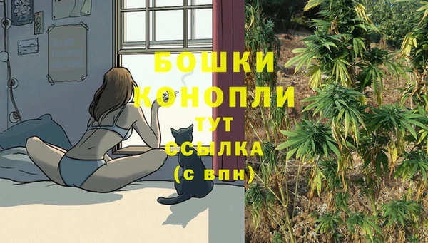 бутират Белокуриха